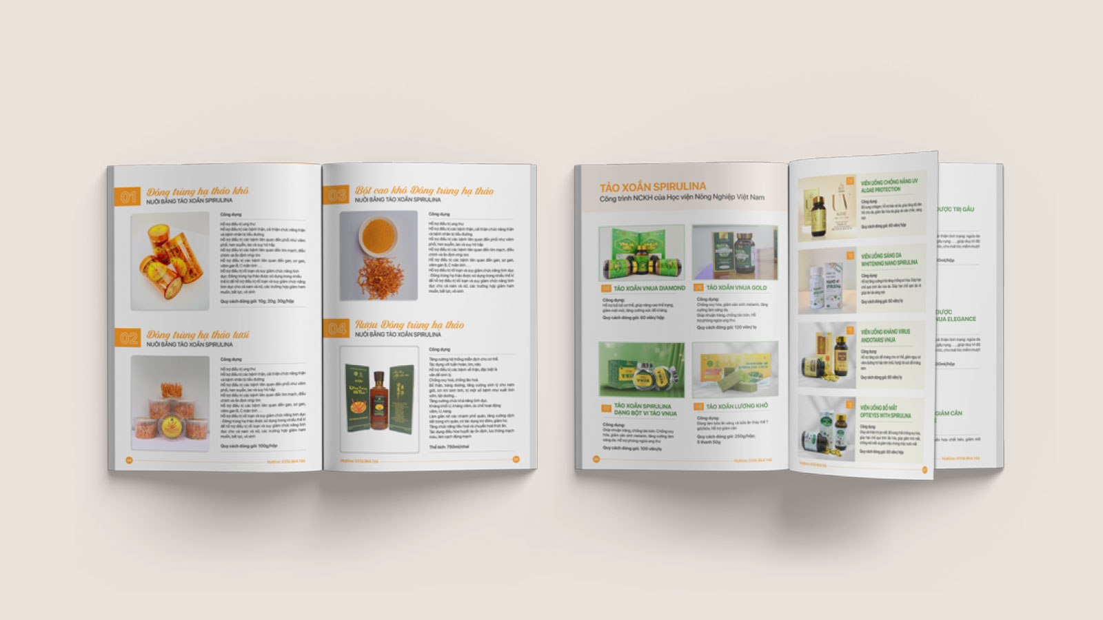 Minh họa chủ đề: seo website, hà nội