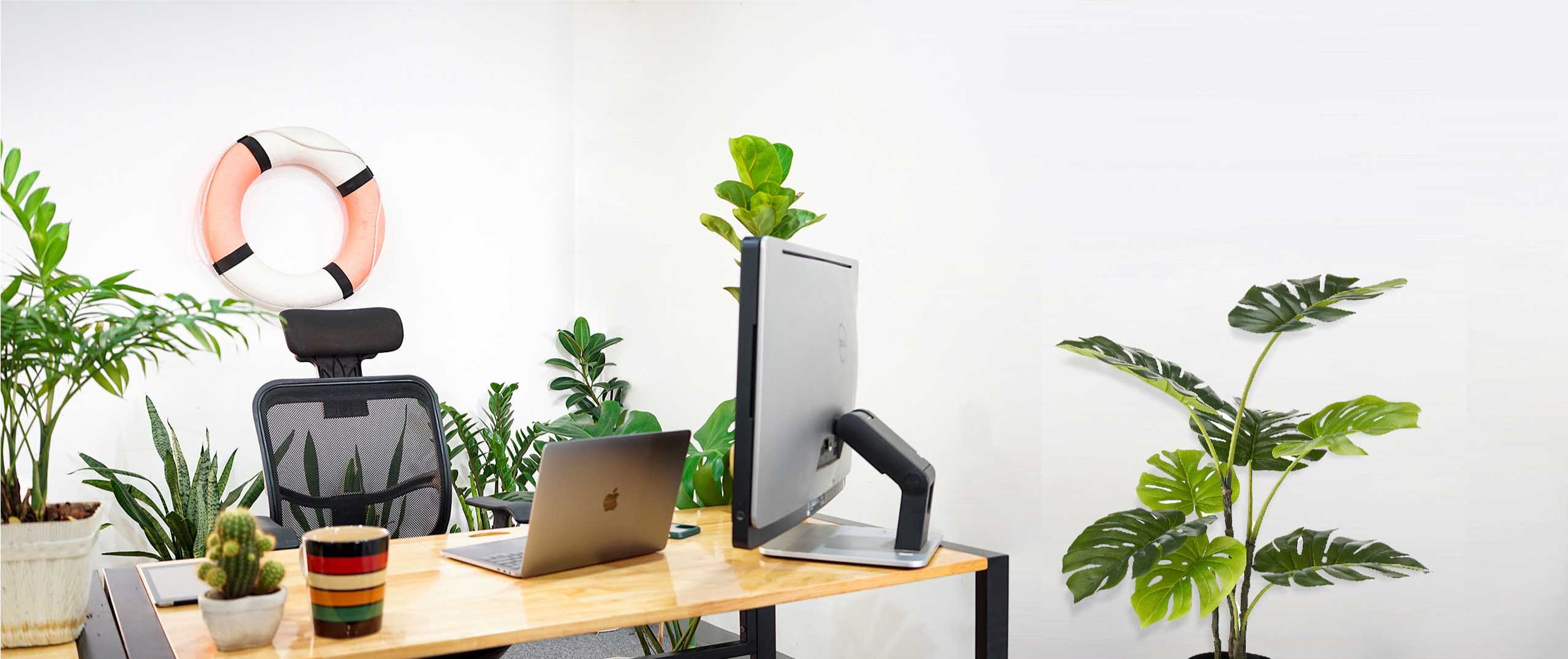 Minh họa chủ đề: doanh nghiệp cần website cho dịch vụ tư vấn tại Ninh Bình